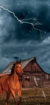 Horse Lightning Sky Live Wallpaper