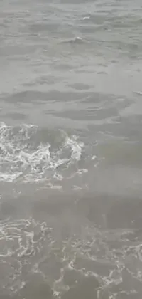 Water Liquid Fluid Live Wallpaper