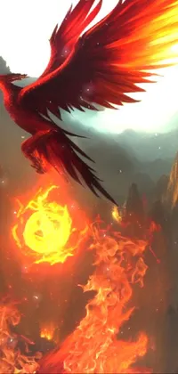 Light Bird Orange Live Wallpaper