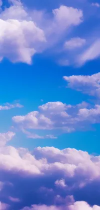 calm day Live Wallpaper