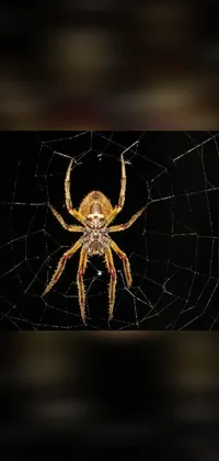 Insect Arthropod Water Live Wallpaper
