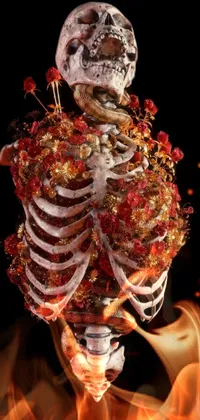 Human Body Organism Human Anatomy Live Wallpaper