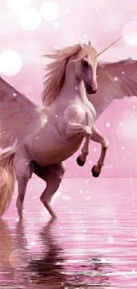 Horse Water Mythical Creature Live Wallpaper