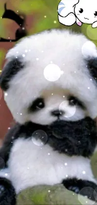 Lil cute panda Live Wallpaper