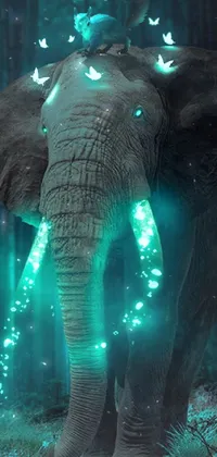 Elephant Light Lighting Live Wallpaper