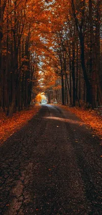 Brown Plant Road Surface Live Wallpaper