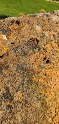 Brown Bedrock Formation Live Wallpaper
