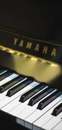 Musical Instrument Piano Keyboard Live Wallpaper