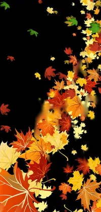 Leaf Amber Branch Live Wallpaper