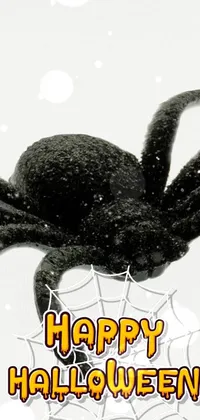 Insect Arthropod Spider Live Wallpaper