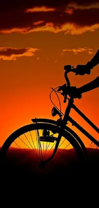 biker Live Wallpaper
