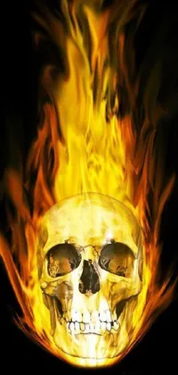 Bone Jaw Amber Live Wallpaper