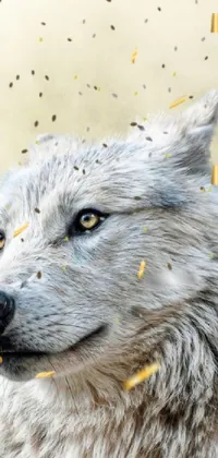 wolf Live Wallpaper