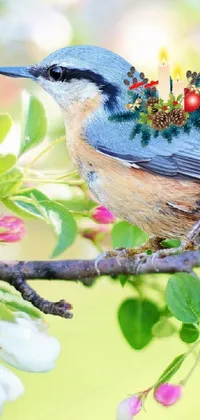 bird Live Wallpaper