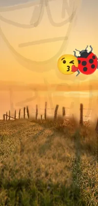 BRUH Live Wallpaper