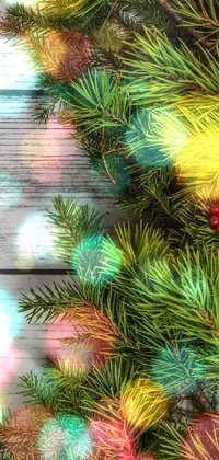 Plant Nature Botany Live Wallpaper