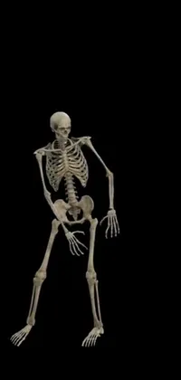 Rib Bone Art Live Wallpaper