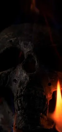 Wood Bone Skull Live Wallpaper