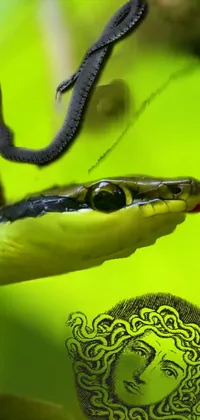 snakes Live Wallpaper