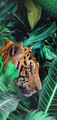 Siberian Tiger Green Bengal Tiger Live Wallpaper