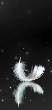 d Live Wallpaper