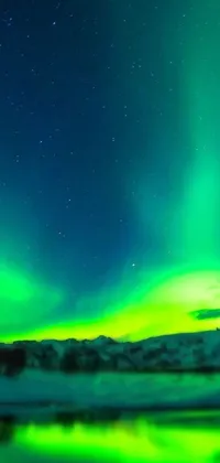 nature Live Wallpaper