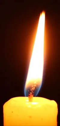 Candle Wax Fire Live Wallpaper
