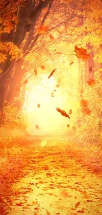 Brown Atmosphere Amber Live Wallpaper