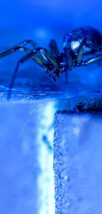 Blue Liquid Azure Live Wallpaper