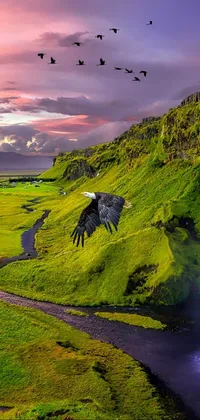montain Live Wallpaper