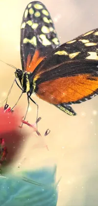 Sparkling Butterfly Live Wallpaper