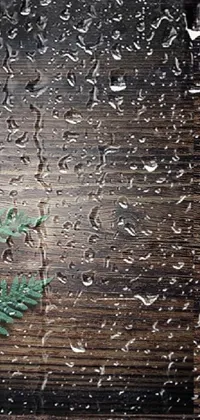 Liquid Wood Font Live Wallpaper