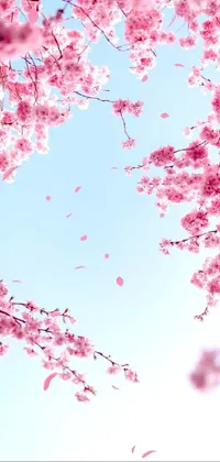 Aesthetic  Live Wallpaper