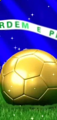 Soccer Sports Equipment Football Live Wallpaper