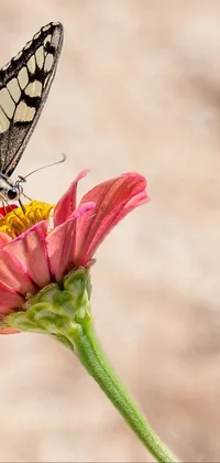 best photo  Live Wallpaper
