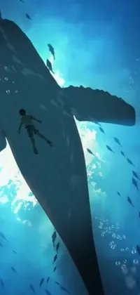Water Fin Shark Live Wallpaper