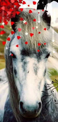 Plant Working Animal Horse Live Wallpaper