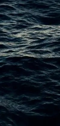 Water Liquid Fluid Live Wallpaper