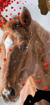 Horse Working Animal Liver Live Wallpaper