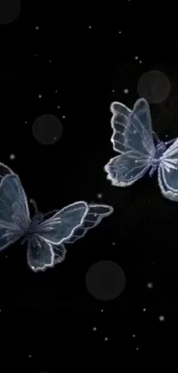 Pollinator Insect Butterfly Live Wallpaper