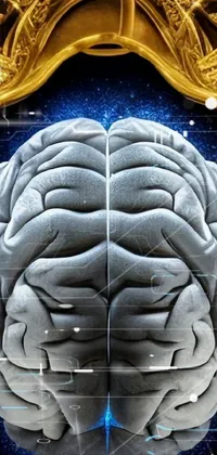 brain nerves wallpaper