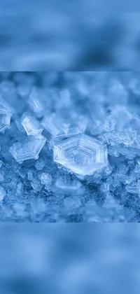 Ice Cube Liquid Water Live Wallpaper