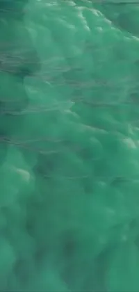 Water Liquid Green Live Wallpaper