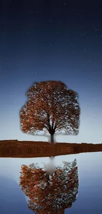 Sky Atmosphere Water Live Wallpaper