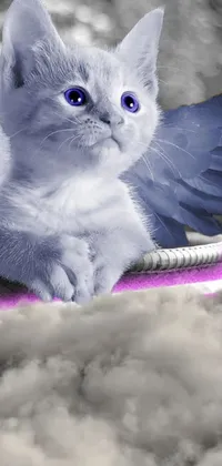 cat with wings Live Wallpaper