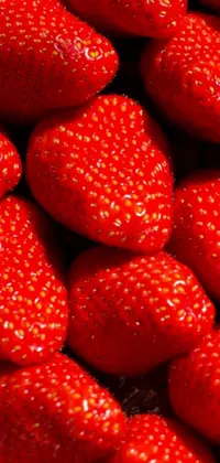 Food Fruit Plant Live Wallpaper