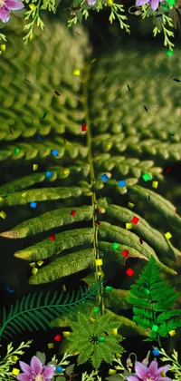 Plant Light Nature Live Wallpaper - free download