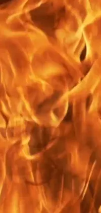 Orange Amber Fire Live Wallpaper