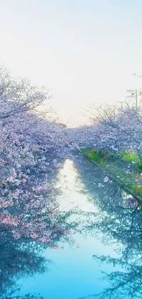 Sky Water Water Resources Live Wallpaper