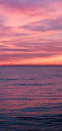 Sunset shine Live Wallpaper